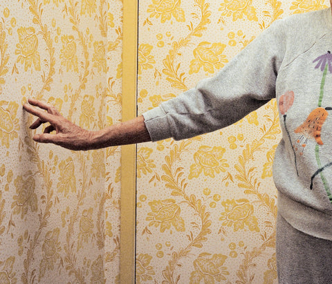 Snapshot biographies: Larry Sultan's 'Pictures From Home'