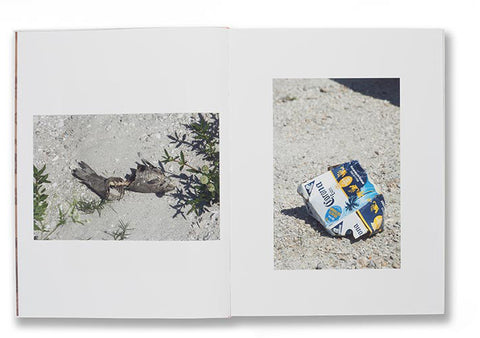 Sacrifice Your Body Roe Ethridge - MACK