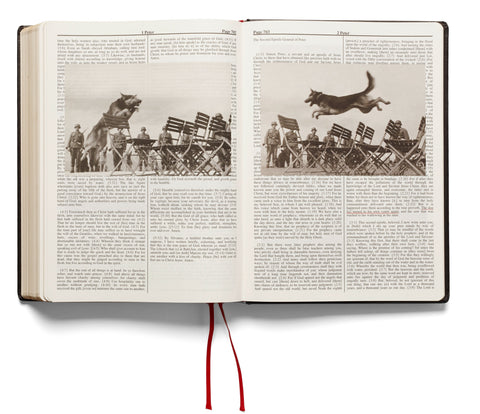 Holy Bible (Second printing) Adam Broomberg & Oliver Chanarin - MACK