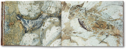 Buon Fresco Tacita Dean - MACK