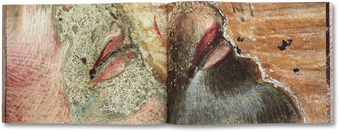 Buon Fresco Tacita Dean - MACK