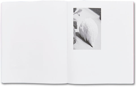 Rowing a Tetrapod Fumi Ishino - MACK