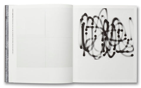 a Handful of Dust (First edition) David Campany - MACK