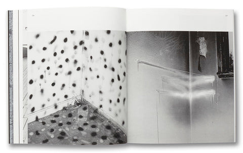 a Handful of Dust (First edition) David Campany - MACK