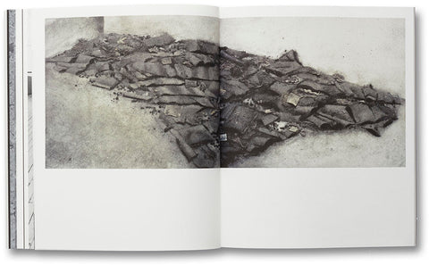 a Handful of Dust (First edition) David Campany - MACK