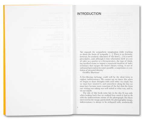Indeterminacy: Thoughts on Time, the Image, and Race(ism)
