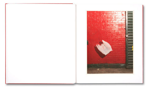 Le Luxe (second edition) Roe Ethridge - MACK