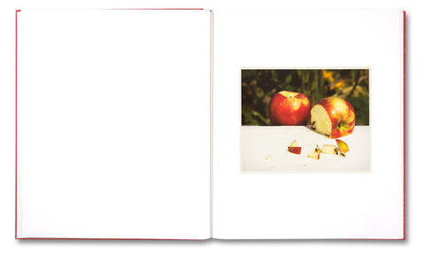 Le Luxe (second edition) Roe Ethridge - MACK
