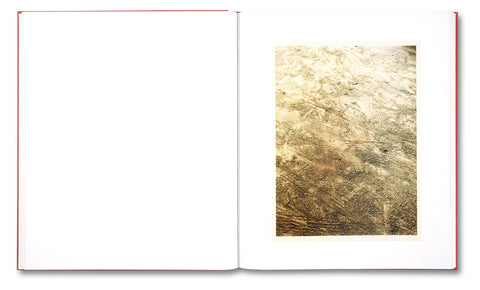 Le Luxe (second edition) Roe Ethridge - MACK