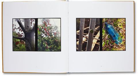 Two-Frame Films (2006-2012) Luke Fowler - MACK
