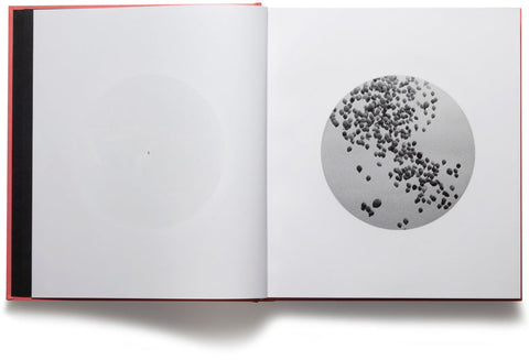 People In Trouble Laughing Pushed To The Ground Adam Broomberg & Oliver Chanarin - MACK