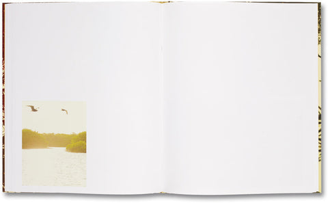 Archipelago Matthew Porter - MACK