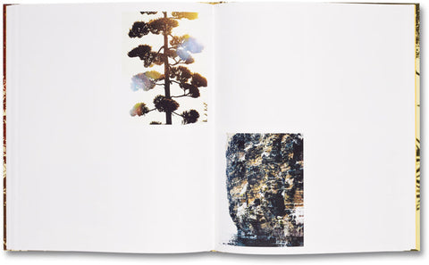 Archipelago Matthew Porter - MACK