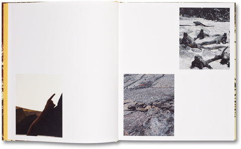 Archipelago Matthew Porter - MACK