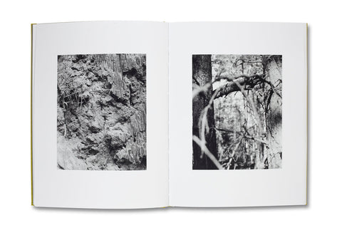 NATUR Michael Schmidt - MACK