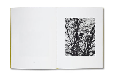 NATUR Michael Schmidt - MACK