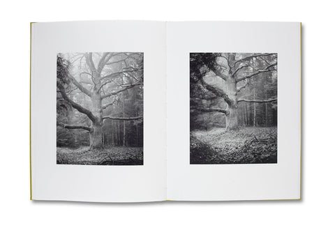 NATUR Michael Schmidt - MACK