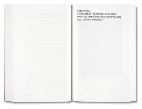 Painting Photography Painting: Selected Essays