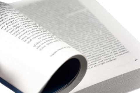 Painting Photography Painting: Selected Essays