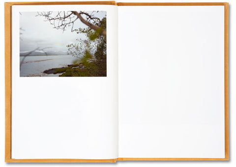 Does Yellow Run Forever? Paul Graham - MACK