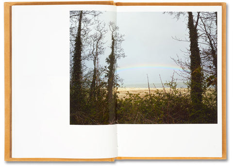 Does Yellow Run Forever? Paul Graham - MACK