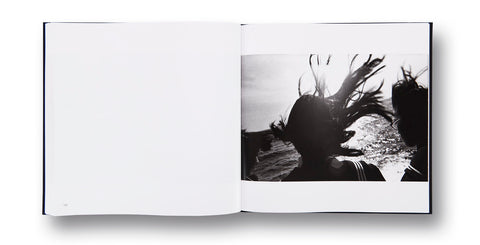 Ravens Masahisa Fukase - MACK