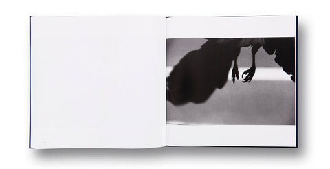 Ravens Masahisa Fukase - MACK