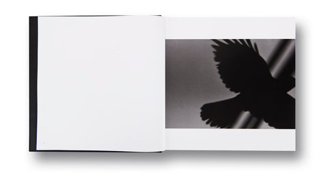 Ravens Masahisa Fukase - MACK