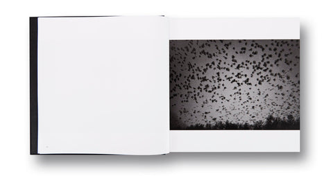 Ravens Masahisa Fukase - MACK