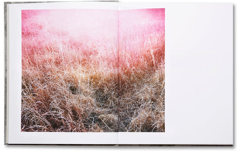 Redheaded Peckerwood (Third edition) Christian Patterson - MACK