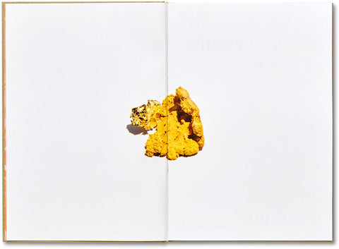 The Canary and The Hammer Lisa Barnard - MACK