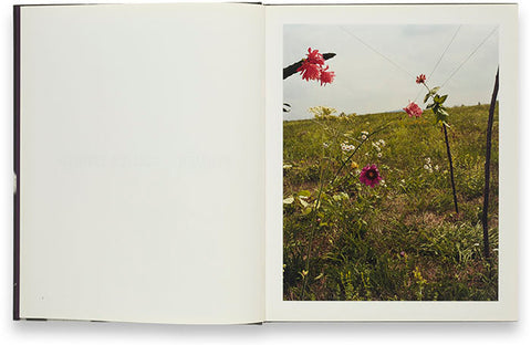 Blumen Collier Schorr - MACK
