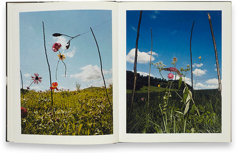 Blumen Collier Schorr - MACK