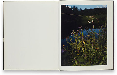 Blumen Collier Schorr - MACK