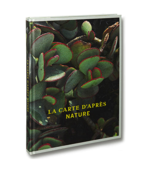 La Carte d'après nature Thomas Demand - MACK