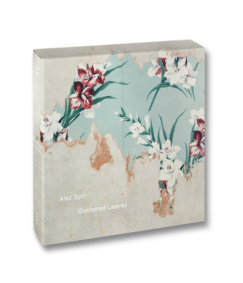 Gathered Leaves Alec Soth - MACK