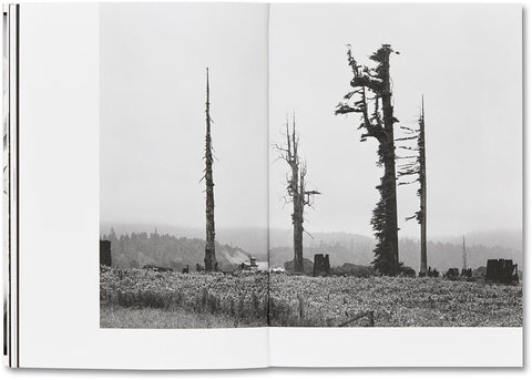 Day Sleeper (First Edition, Second Printing) Dorothea Lange – Sam Contis - MACK