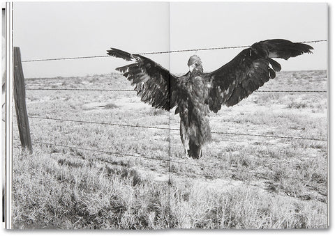 Day Sleeper (First Edition, Second Printing) Dorothea Lange – Sam Contis - MACK