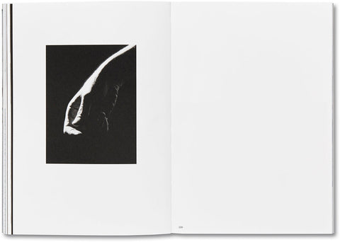 Day Sleeper (First Edition, Second Printing) Dorothea Lange – Sam Contis - MACK