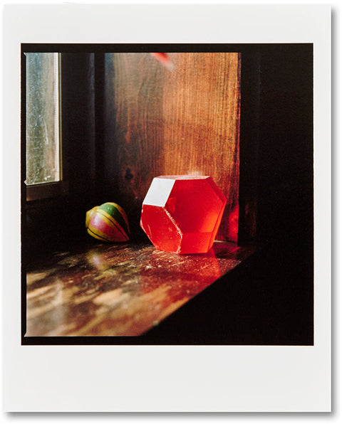 Picture Summer on Kodak Film Special Edition Jason Fulford - MACK
