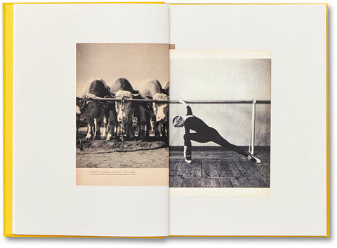 Handbook of the Spontaneous Other Aikaterini Gegisian - MACK
