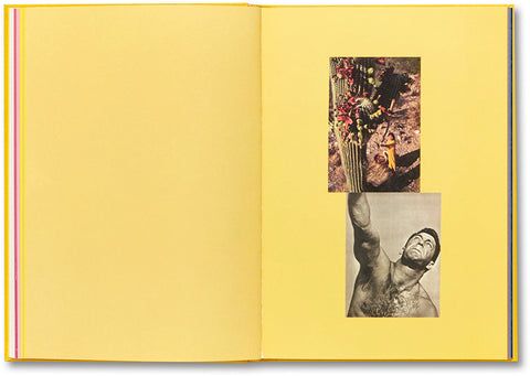 Handbook of the Spontaneous Other Aikaterini Gegisian - MACK