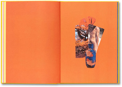 Handbook of the Spontaneous Other Aikaterini Gegisian - MACK
