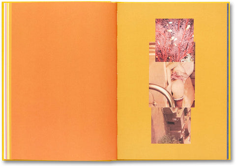 Handbook of the Spontaneous Other Aikaterini Gegisian - MACK