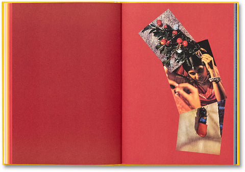 Handbook of the Spontaneous Other Aikaterini Gegisian - MACK