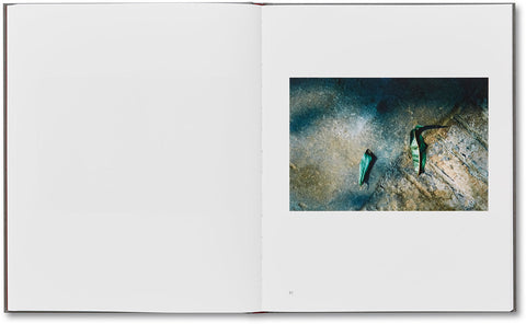 Tra l'altro, 1976-81 Guido Guidi - MACK