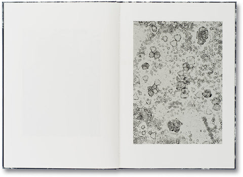 Transparency is the new mystery Mayumi Hosokura - MACK