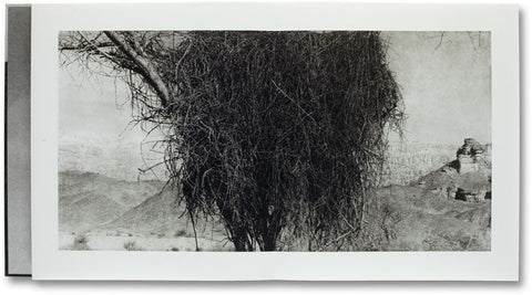 Unnamed Road Jungjin Lee - MACK