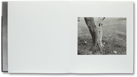 Unnamed Road Jungjin Lee - MACK