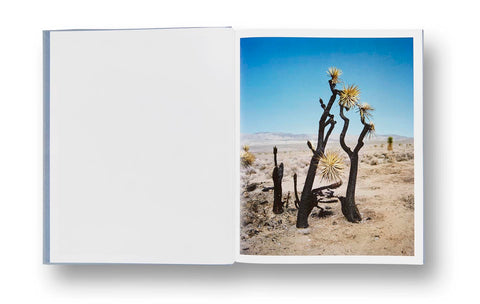 ZZYZX Gregory Halpern (First edition, Third printing) - MACK